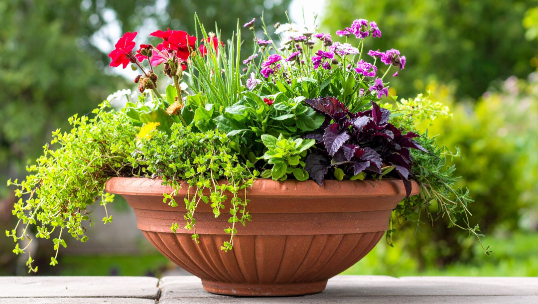 Newsletter Images (16)-1